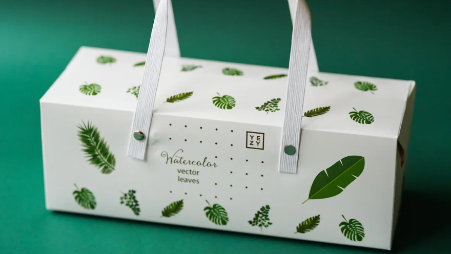 How Pulp Thermoforming Machines Are Revolutionizing Sustainable Packaging.png